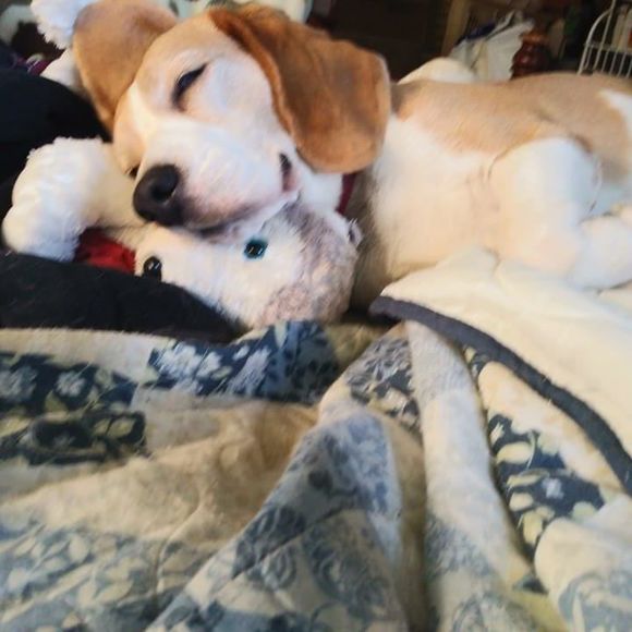 Meet your Posher, Andrea - Picture 1 of 1